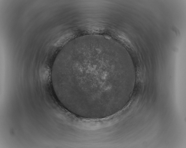 X0000112930029200909071043