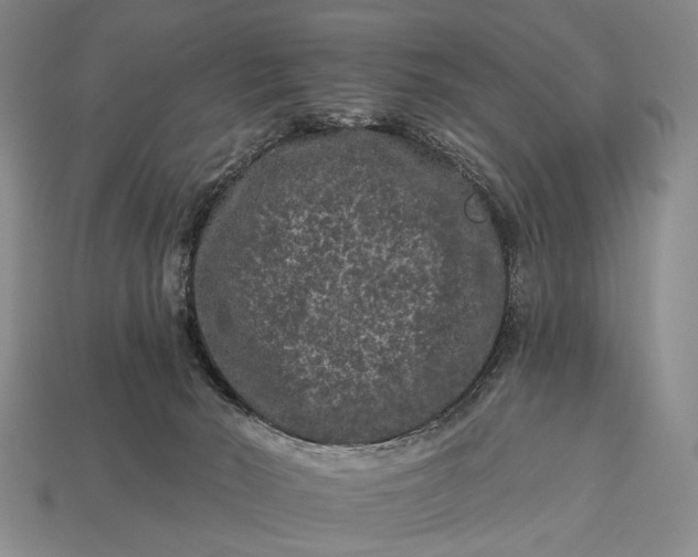 X0000112930030200909071043