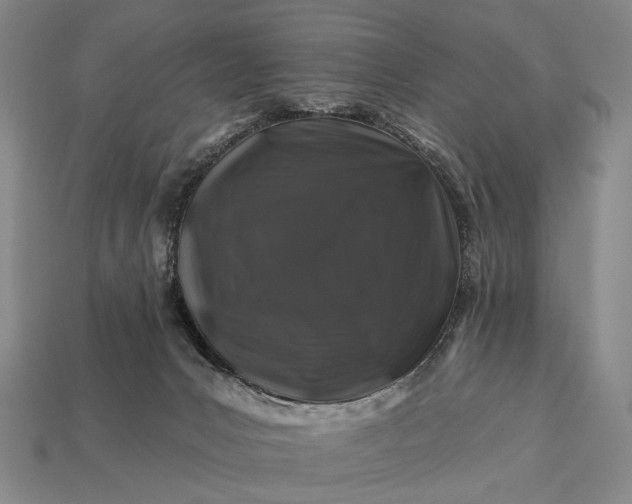 X0000112930031200909071043