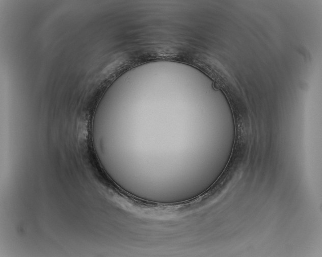 X0000112930032200909071043