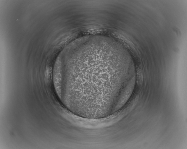 X0000112930034200909071043