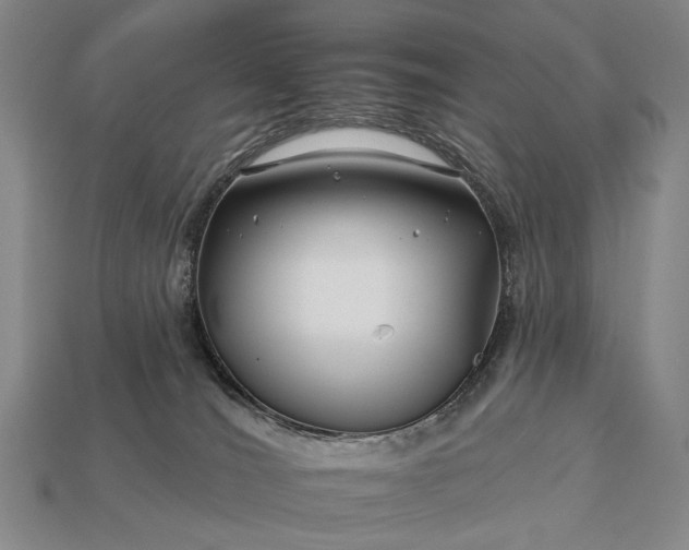 X0000112930036200909071043