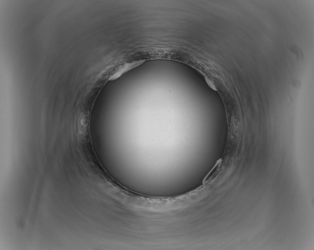 X0000112930037200909071043