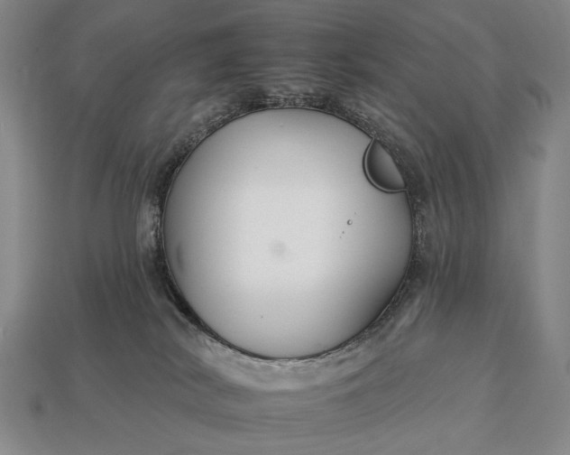 X0000112930038200909071043