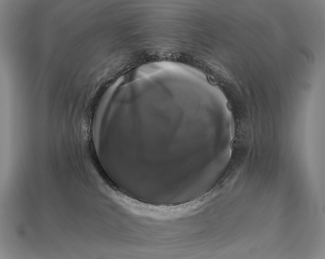 X0000112930039200909071043