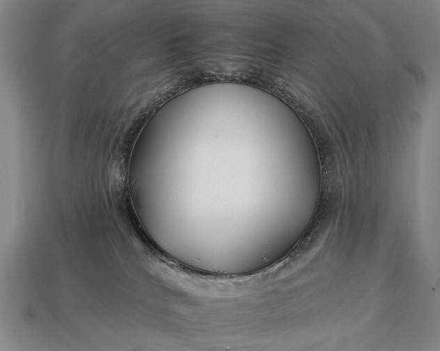 X0000112930040200909071043