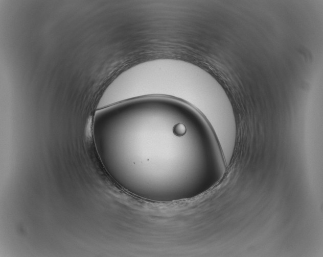 X0000112930041200909071042