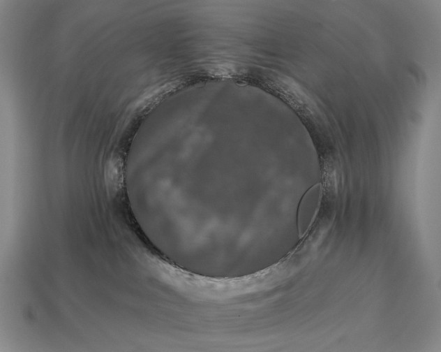 X0000112930043200909071042