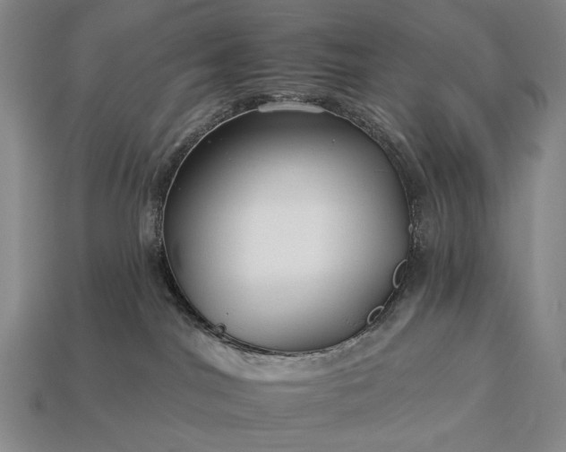 X0000112930044200909071042