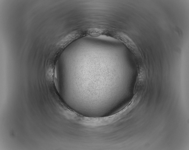 X0000112930045200909071042