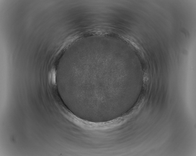 X0000112930046200909071042