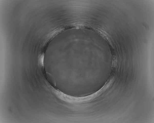 X0000112930047200909071042