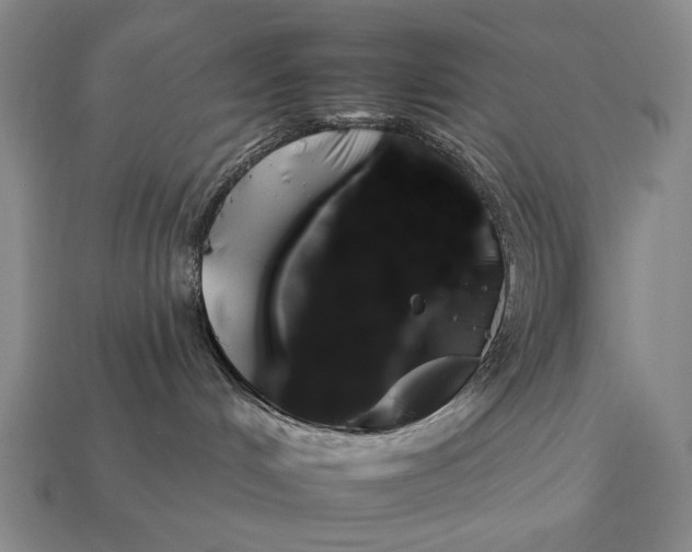 X0000112930048200909071042