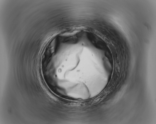 X0000112930049200909071042