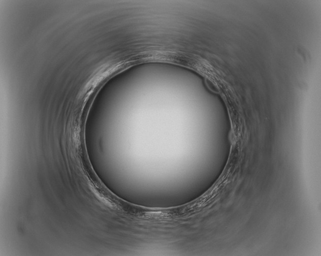 X0000112930050200909071042