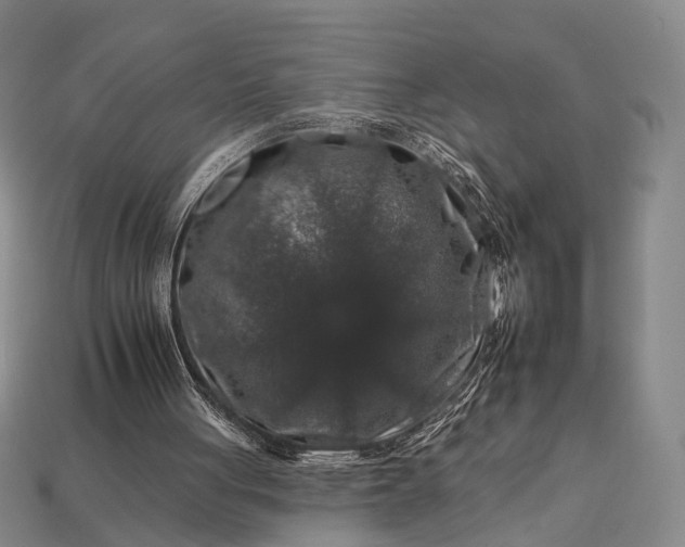 X0000112930051200909071042