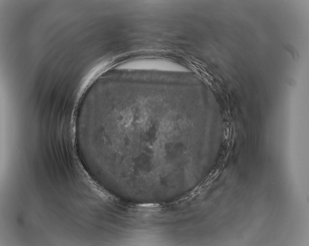 X0000112930053200909071042