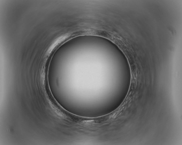 X0000112930054200909071042