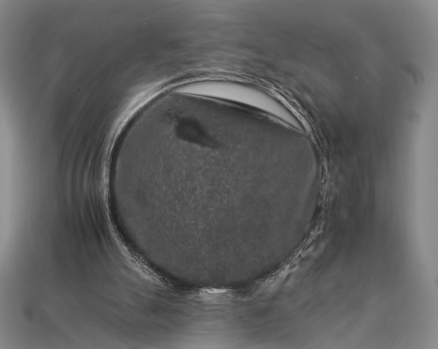 X0000112930055200909071042