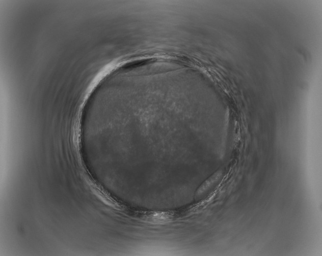 X0000112930056200909071042