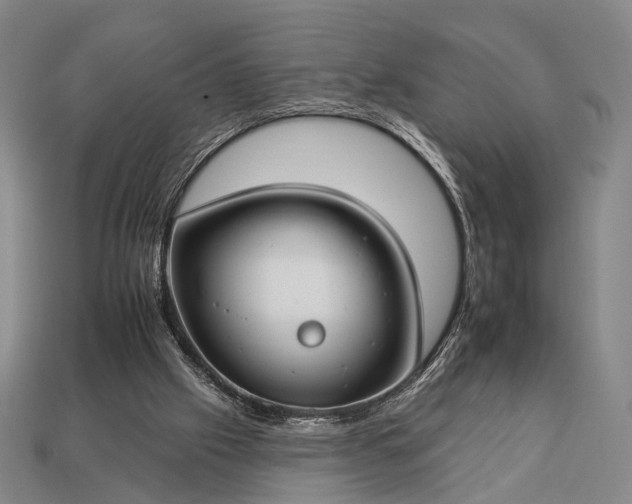 X0000112930057200909071042