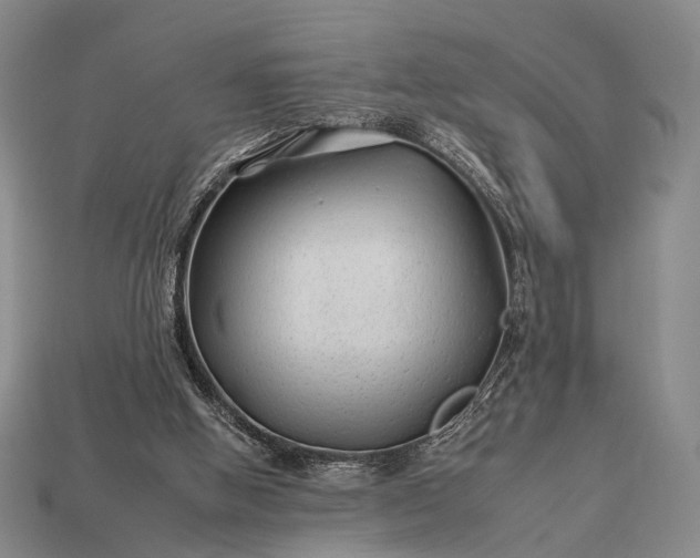 X0000112930058200909071042