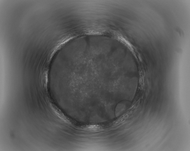 X0000112930059200909071042