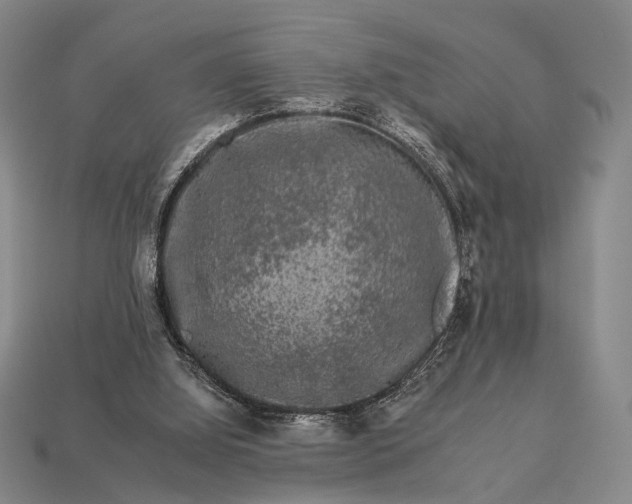 X0000112930060200909071042