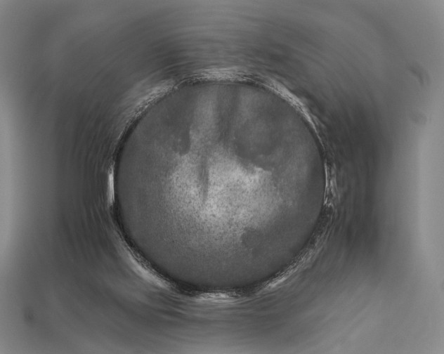 X0000112930061200909071042