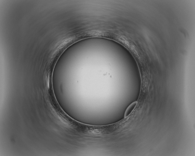 X0000112930062200909071042