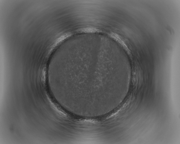 X0000112930063200909071042