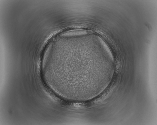 X0000112930064200909071042