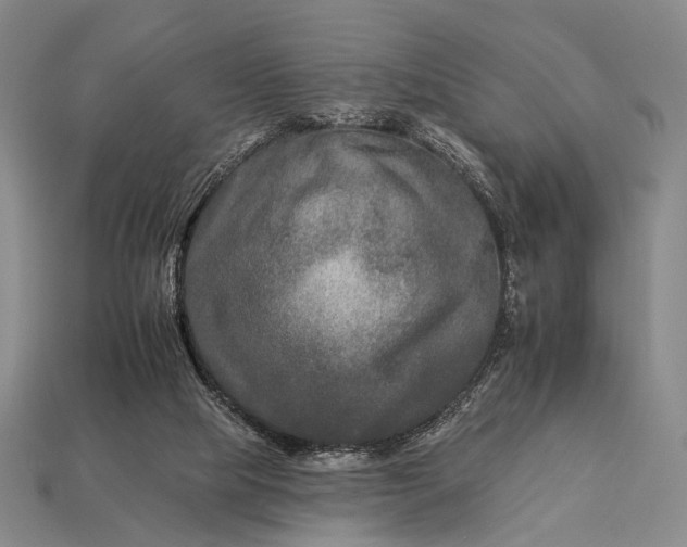 X0000112930065200909071042