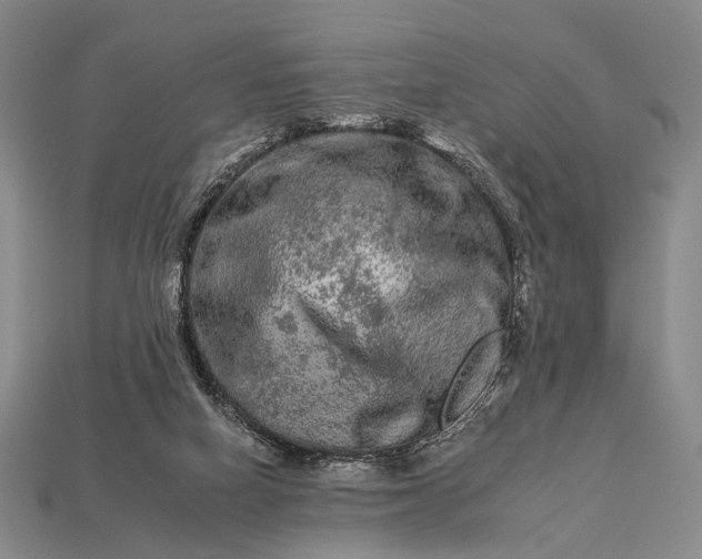 X0000112930066200909071042