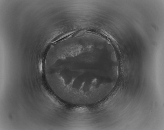 X0000112930067200909071042