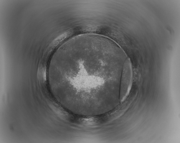 X0000112930068200909071042