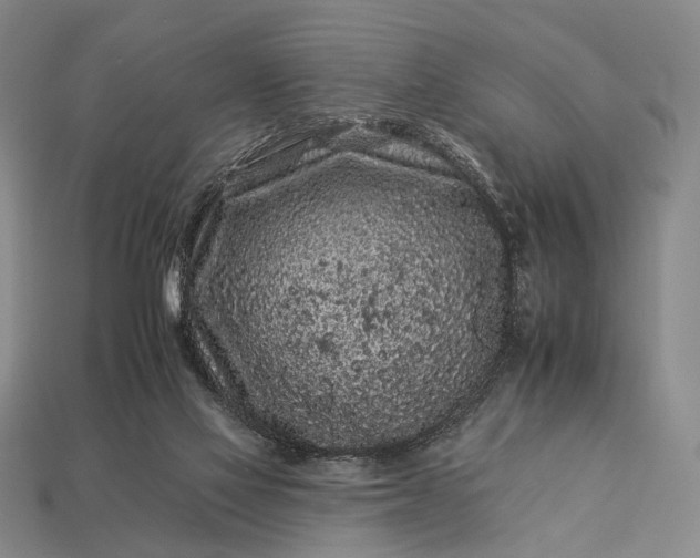 X0000112930069200909071042