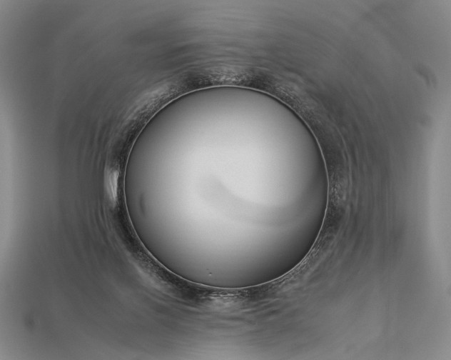 X0000112930070200909071042