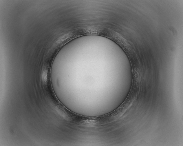 X0000112930071200909071042