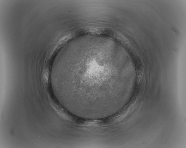 X0000112930072200909071042