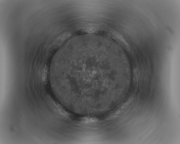 X0000112930073200909071042