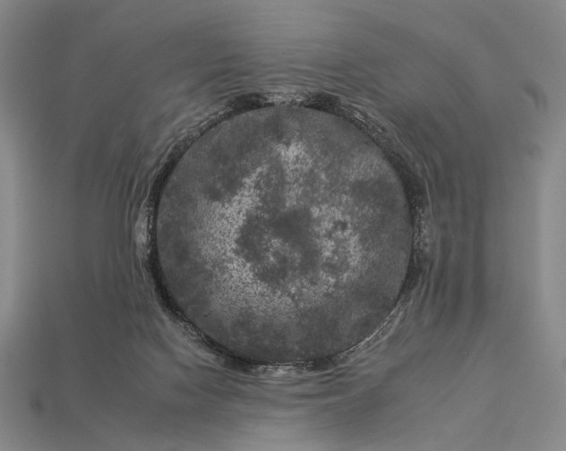 X0000112930074200909071042