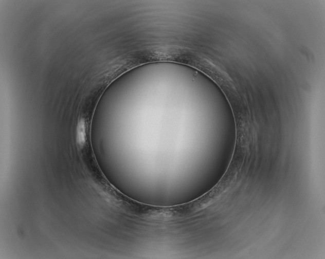 X0000112930075200909071042