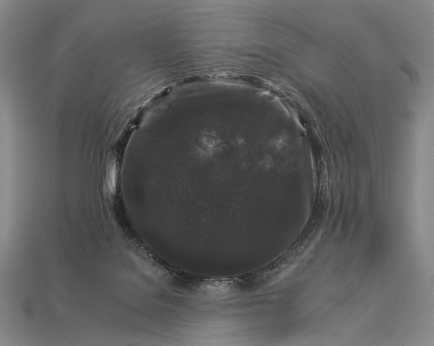 X0000112930076200909071042