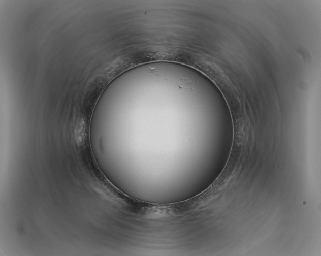 X0000112930077200909071042