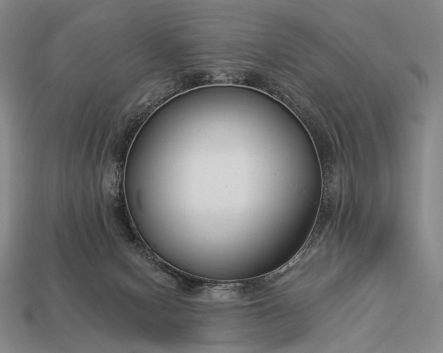 X0000112930078200909071042