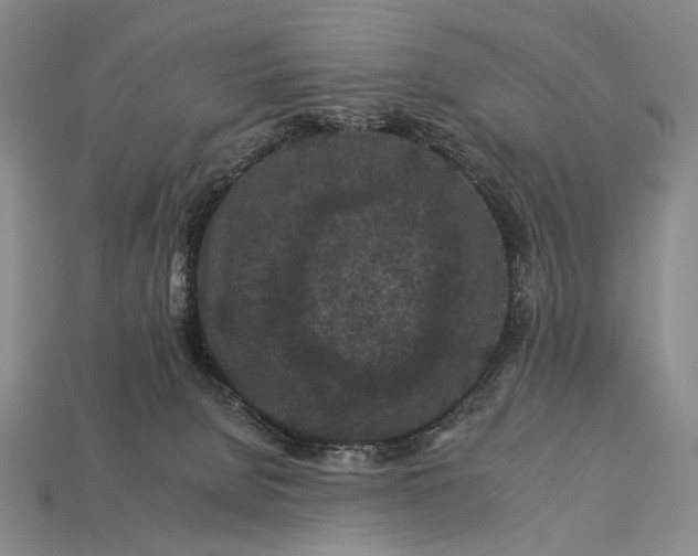 X0000112930080200909071042