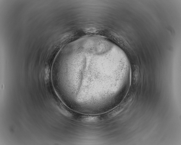 X0000112930081200909071042