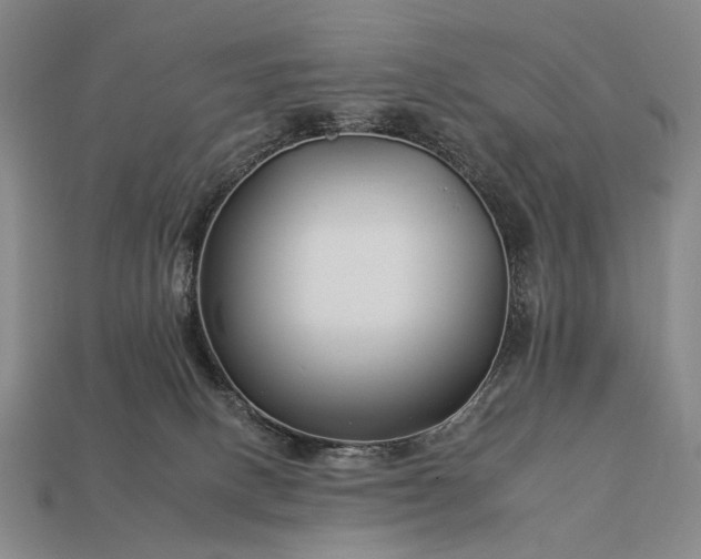 X0000112930082200909071042