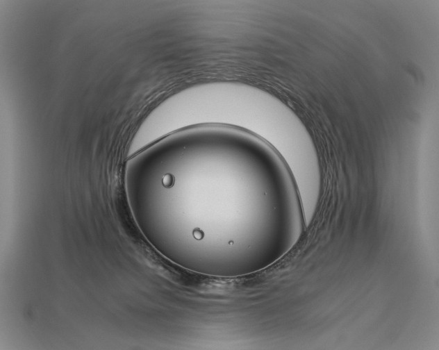 X0000112930084200909071042